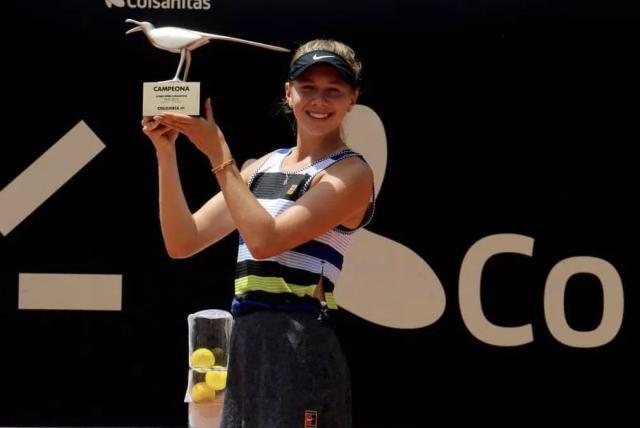 成都蓉城迅 成都蓉城迅